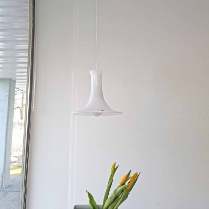 Mandarin riippuvalaisin, Holmegaard